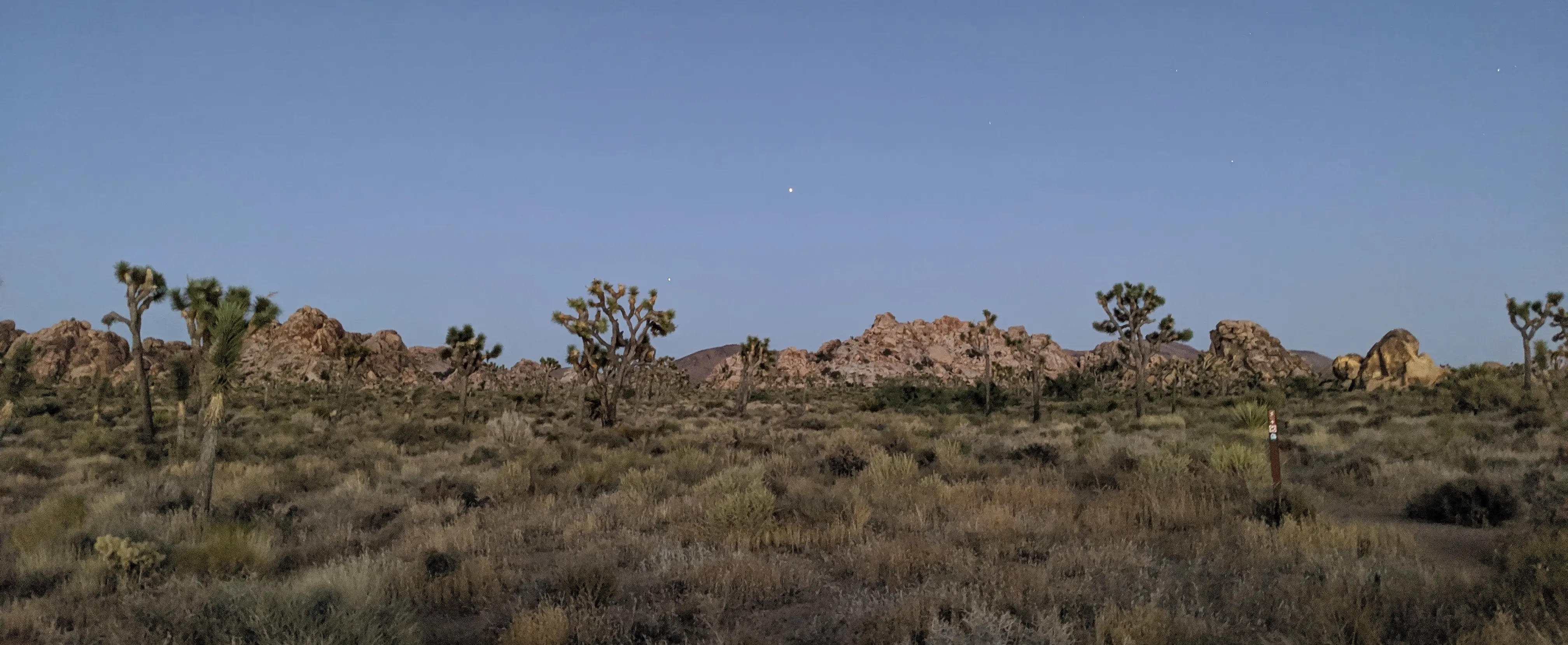 Joshua Tree National Park landscape